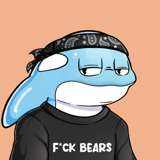 dash