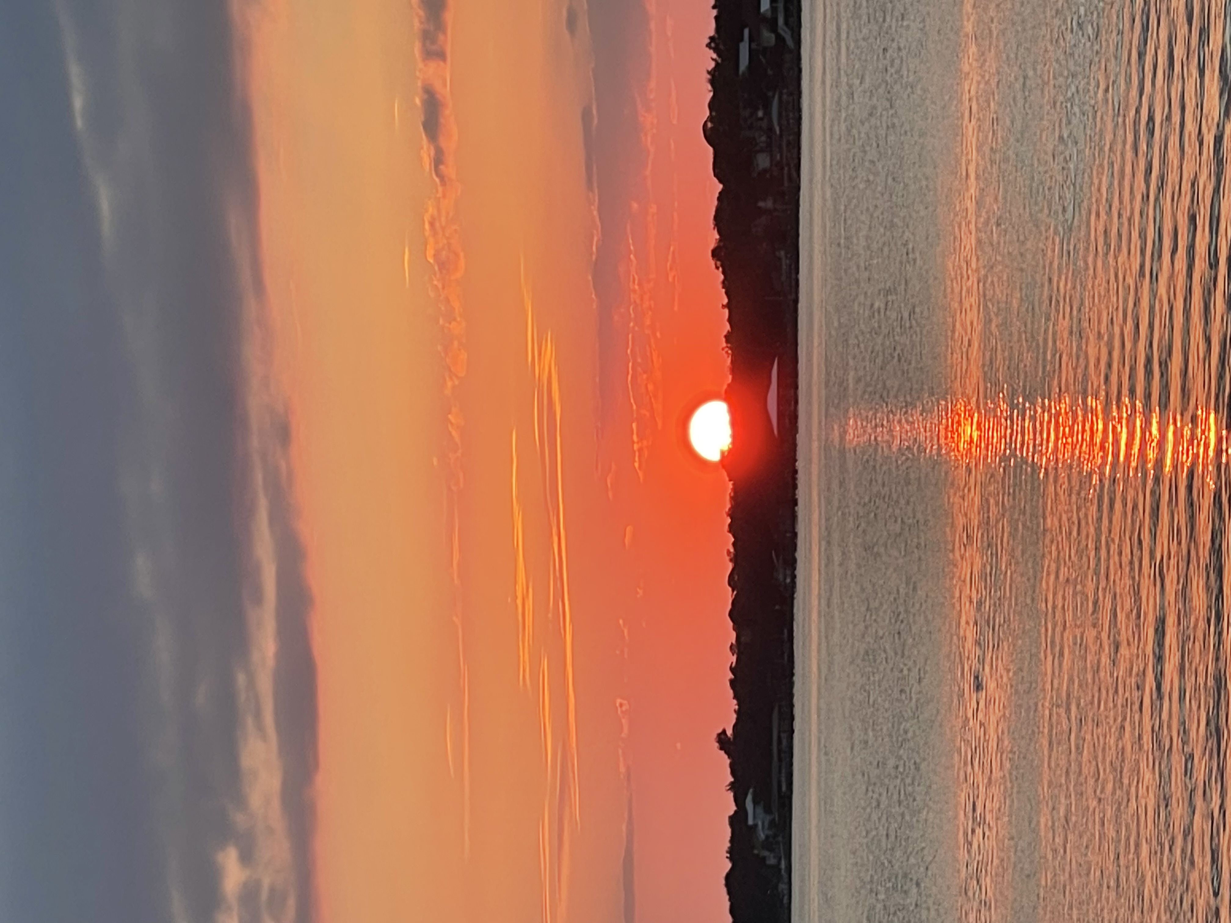 Grid images